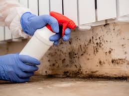 Best Real Estate Mold Inspection  in Bend, OR